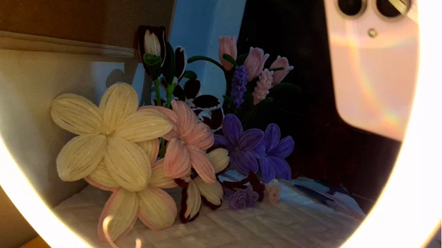 flowers in bed